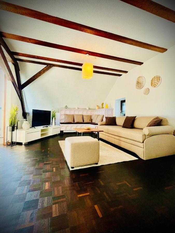 Chris & Aris Ferienwohnung Waldshut Zentrum Exteriör bild